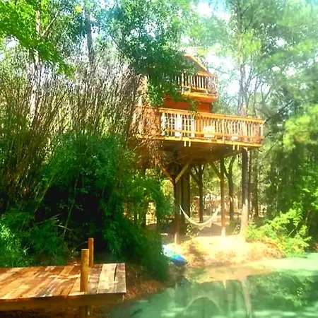 Waterfront Treehouse In A Magical Forest